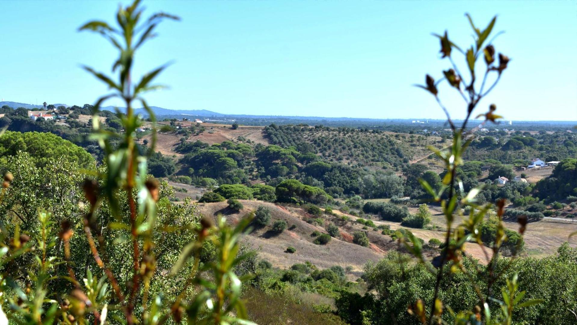 Гостевой дом Monte Sardinha Сантиагу-ду-Касен Экстерьер фото
