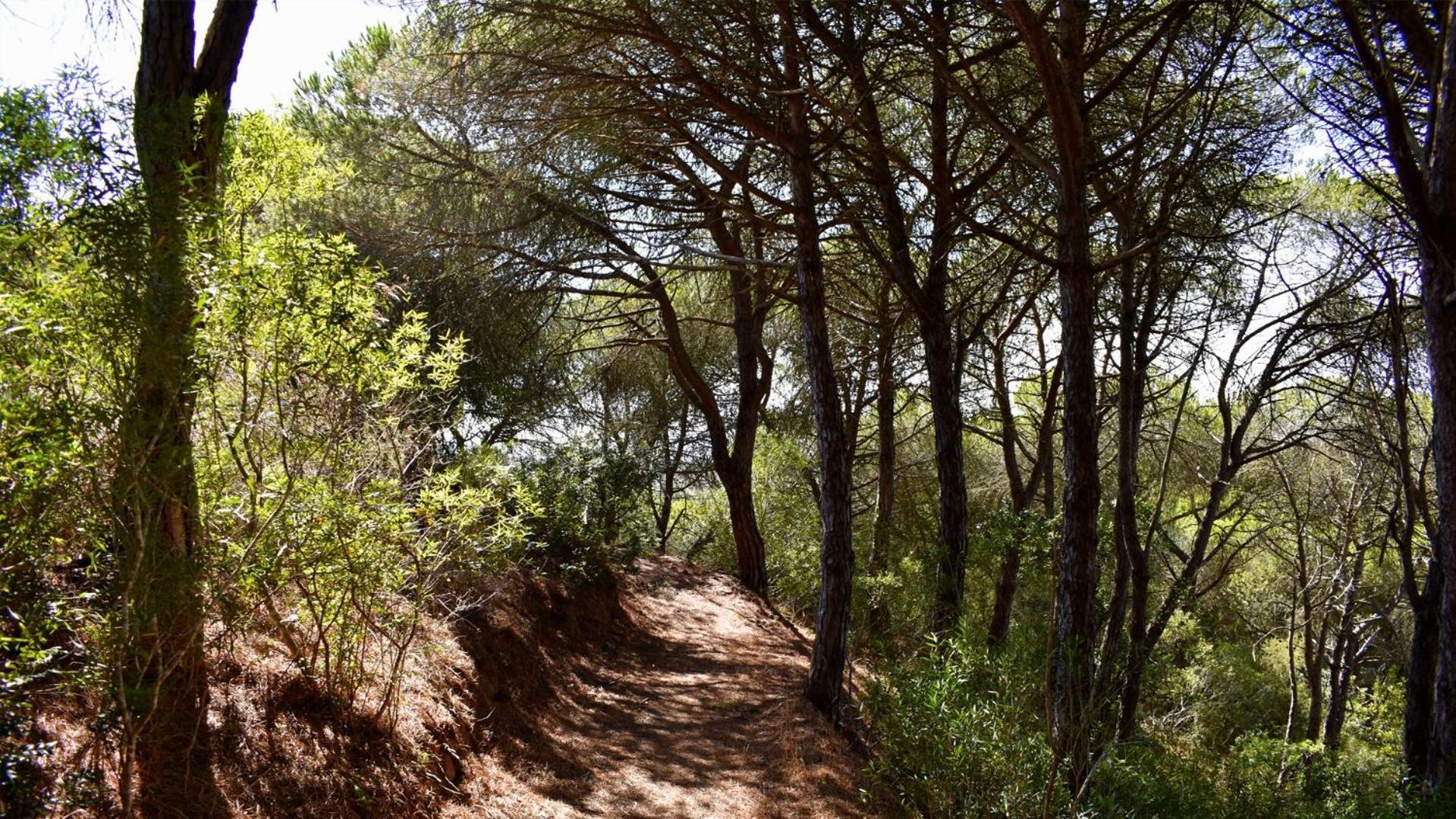 Гостевой дом Monte Sardinha Сантиагу-ду-Касен Экстерьер фото